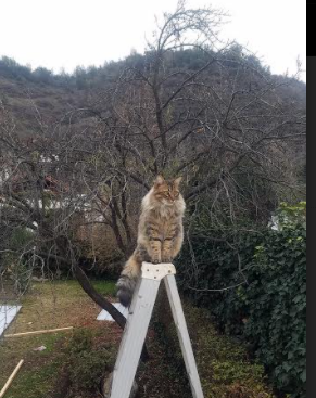 爱游戏官网下载-战火重燃，球场上的激情斗志点燃观众热情，球场上热血的话语