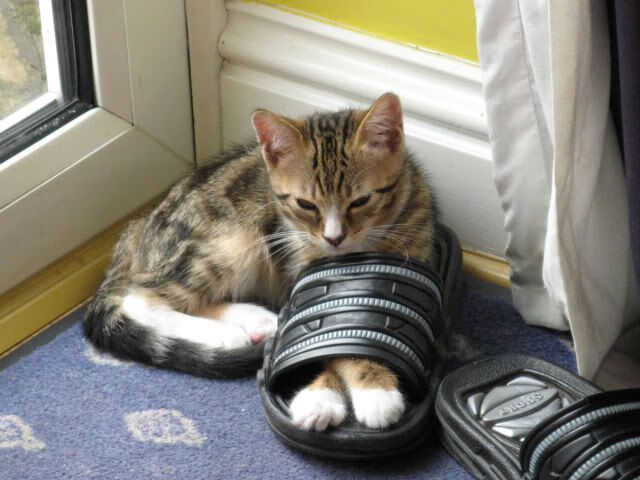 AIYOUXI-捷克迎战波兰，欧洲杯晋级形势岌岌可危