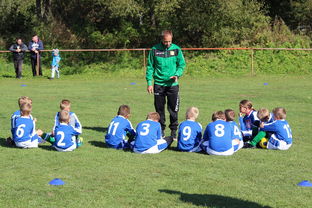 爱游戏官网下载-中国篮球教练员战术创新能力培养及评价体系建设,成功篮球教练员的五个工具