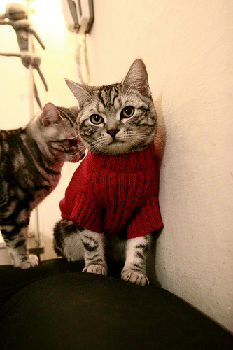 爱游戏在线-中国篮球赛事直播技术发展趋势,现在直播篮球比赛