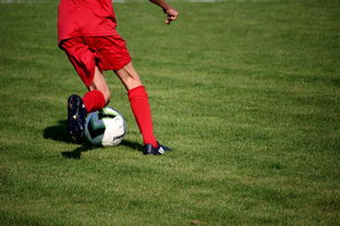 爱游戏游戏平台-中国篮球青年运动员选拔体系研究，中国篮球国家青年队选拔方式