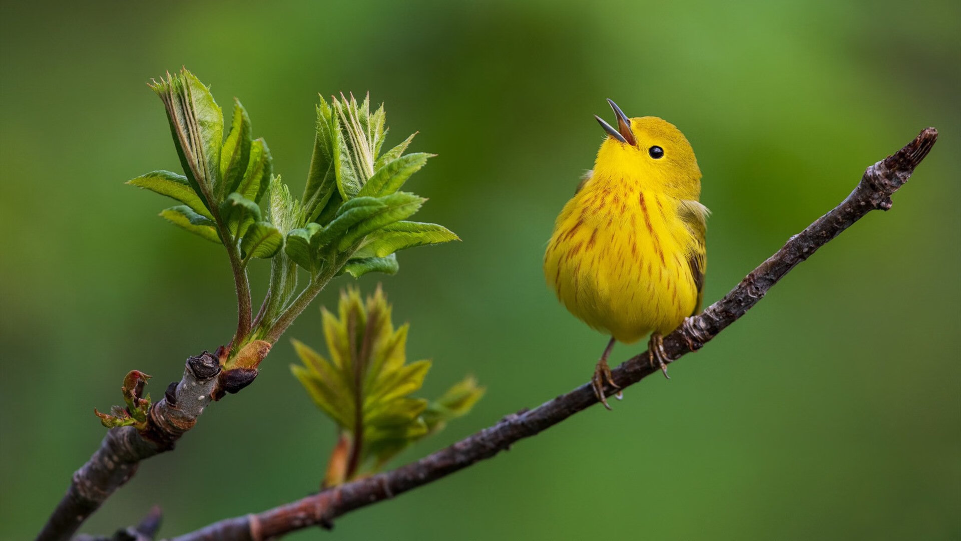 爱游戏直播-“高新体育中心篮球赛:全场沸腾,精彩绝伦”