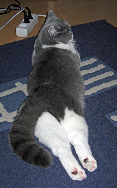 爱游戏多端接入-中国女篮强化抢断训练提升转换速度,中国女篮怎样