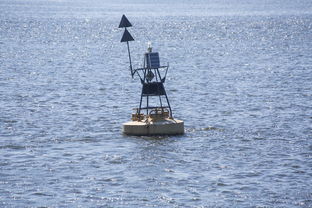 爱游戏全站-中方蝶泳入水角度更锐利?图解数据分析,中国蝶泳厉害吗