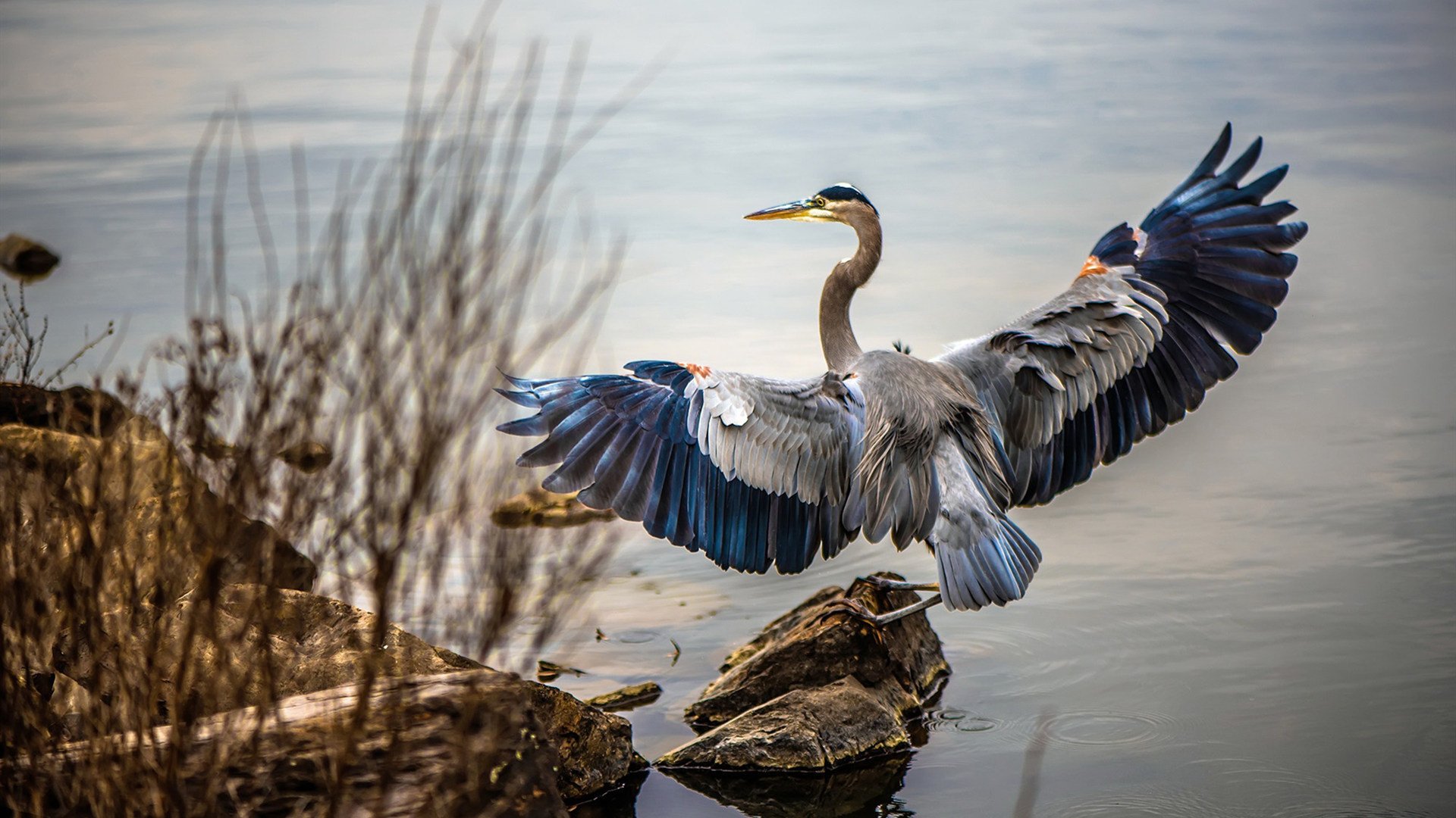 爱游戏线上-印度乒乓队未来目标：培养具备全局观的复合型选手，印度乒乓球公开赛