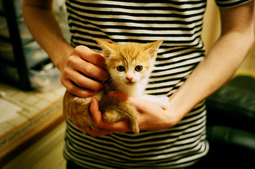 爱游戏娱乐-国际乒联混合团体世界杯：新加坡队在团体赛中的精彩亮点，t2联赛2019新加坡乒乓球比赛视频