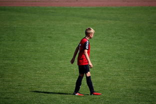 爱游戏体育-国际排联调整赛制 新赛季竞争更激烈,国际排联最新排名